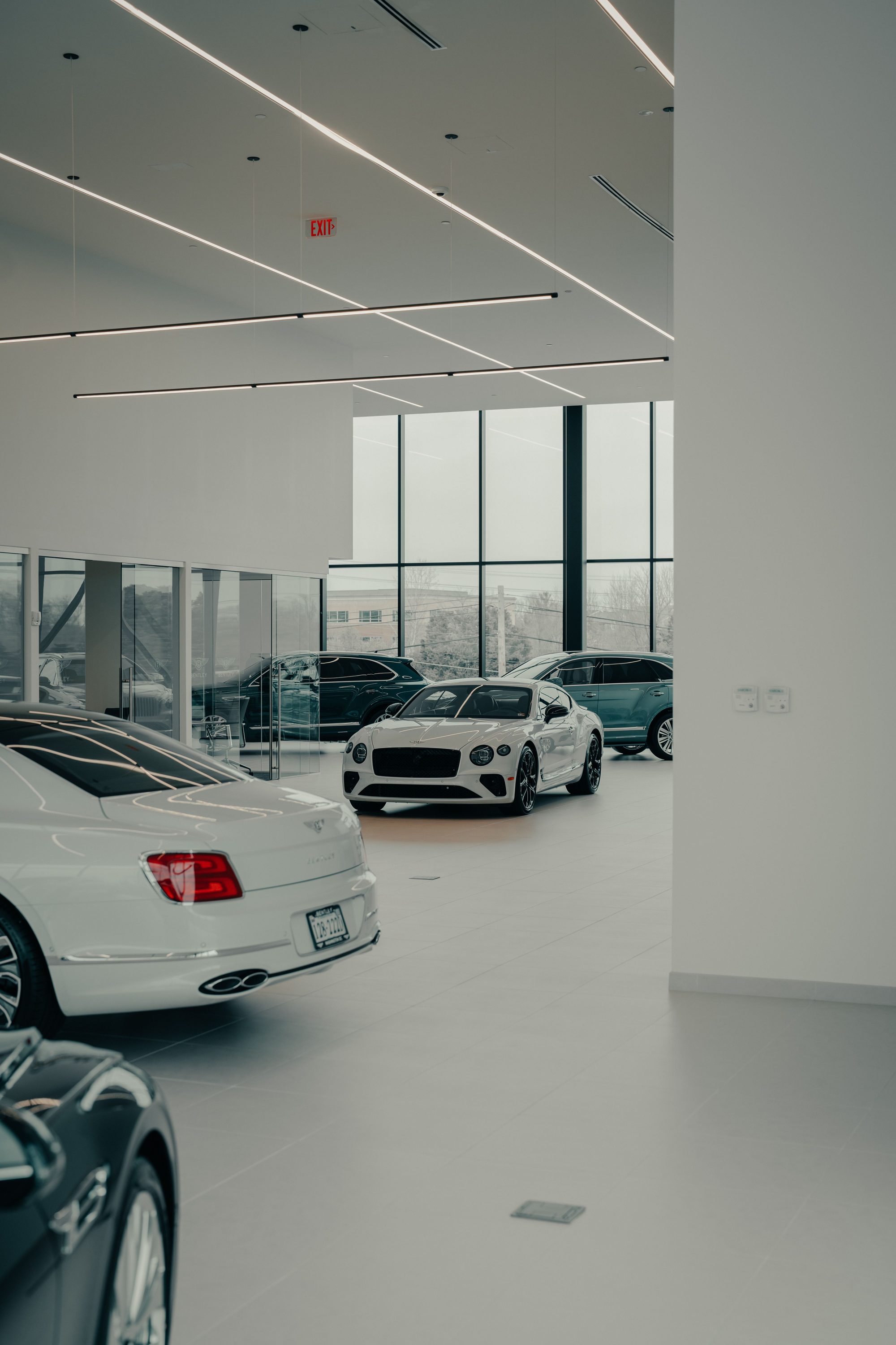 Wide interior view of a modern dealership showroom with several vehicles on display beneath floor-to-ceiling glass and architectural lighting.